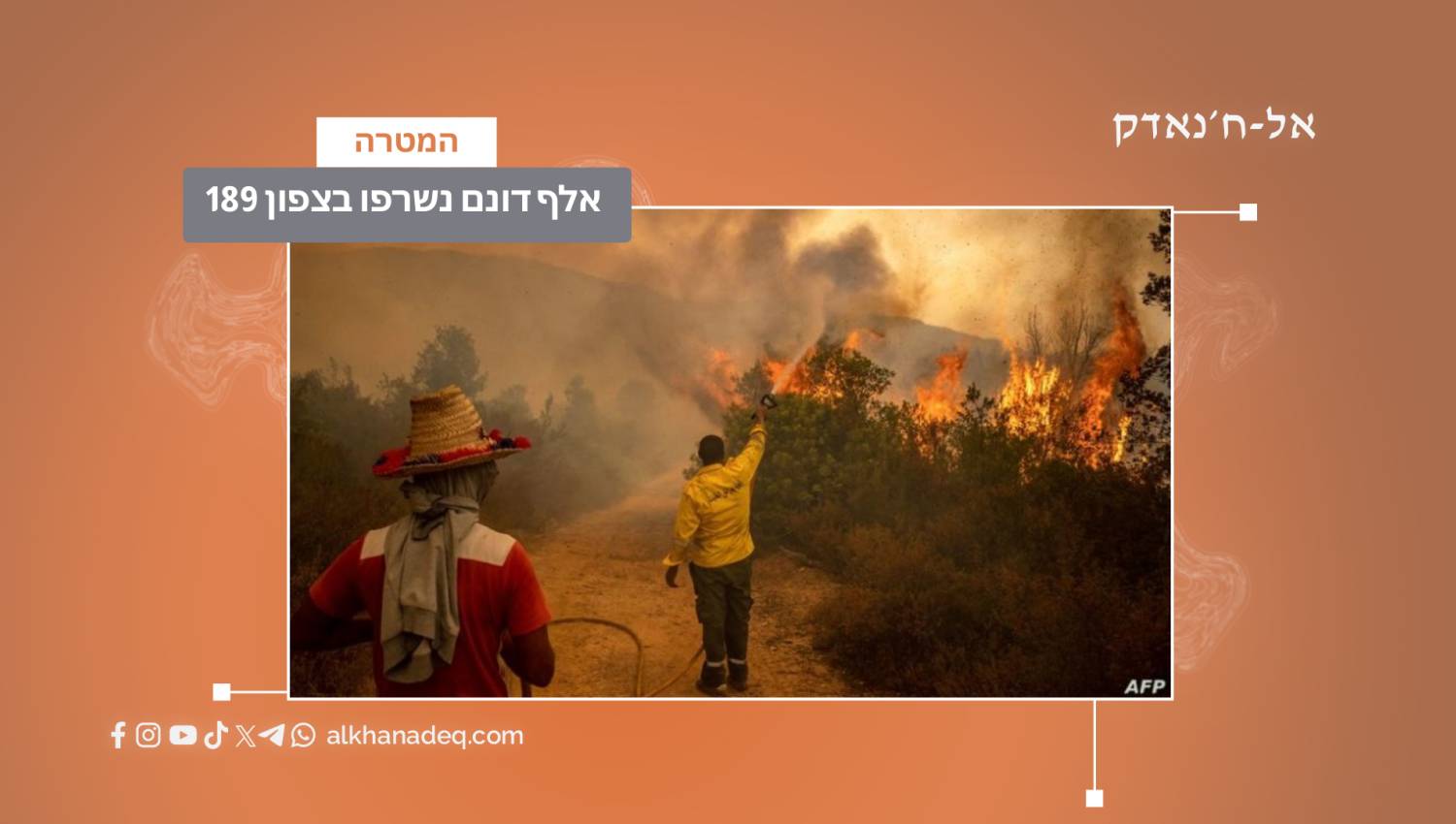 189 אלף דונם נשרפו בצפון