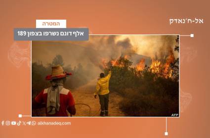 189 אלף דונם נשרפו בצפון