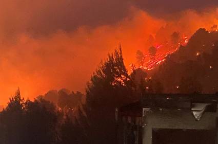 השריפות מעלות 60 אלף דונם: הצפון סופר את הפסדיו