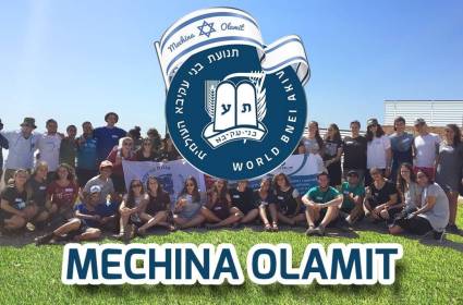ייצוא הנרטיב: כך הופכת ישראל צעירים יהודים לשגריריה בעולם
